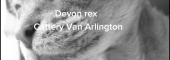 Van Arlington