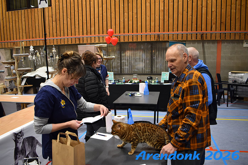 BCF kattenshow