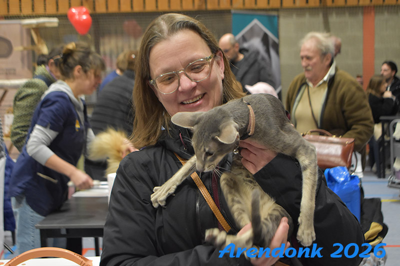 BCF kattenshow