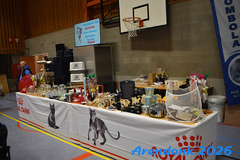 BCF kattenshow