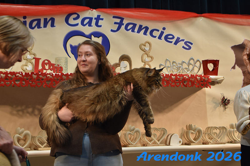 BCF kattenshow
