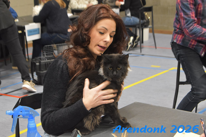 BCF kattenshow