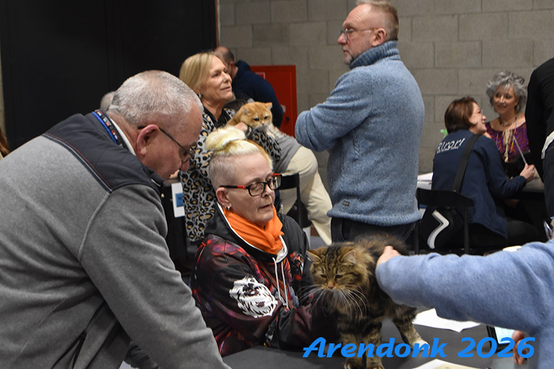 BCF kattenshow
