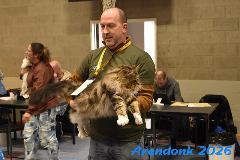 BCF kattenshow