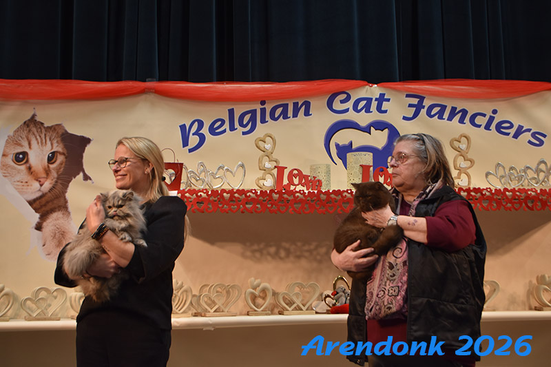 BCF kattenshow