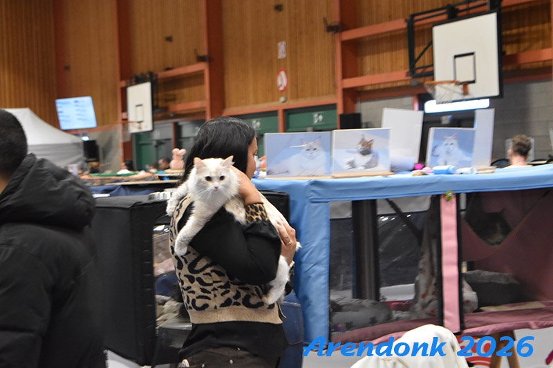 BCF kattenshow