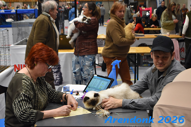 BCF kattenshow