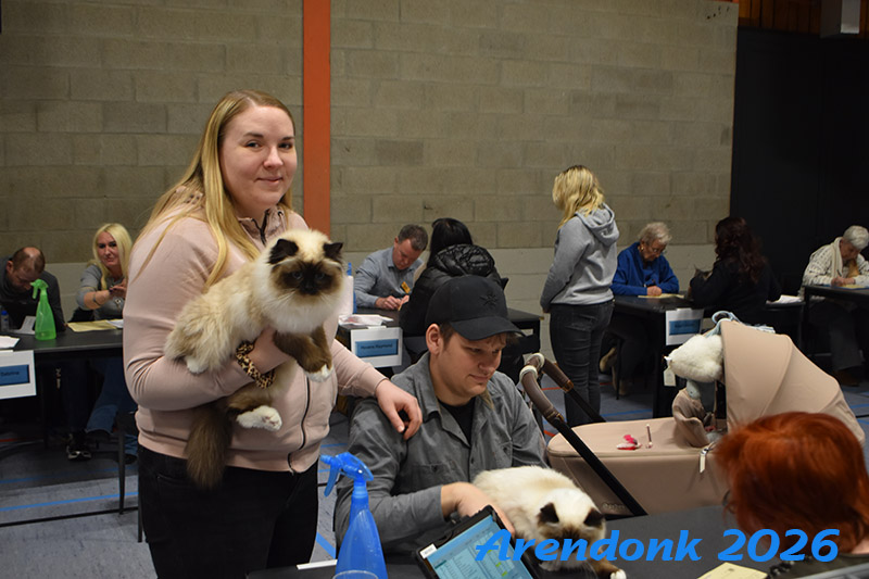 BCF kattenshow