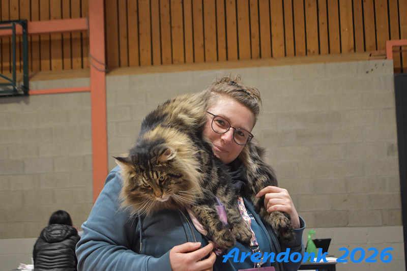 BCF kattenshow