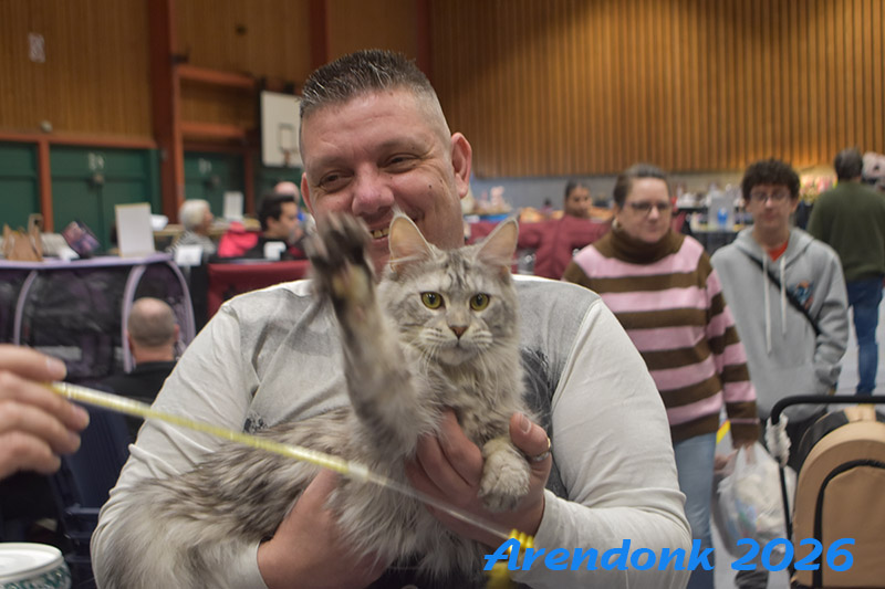 BCF kattenshow