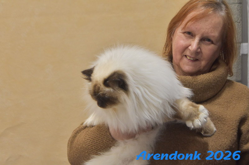 BCF kattenshow
