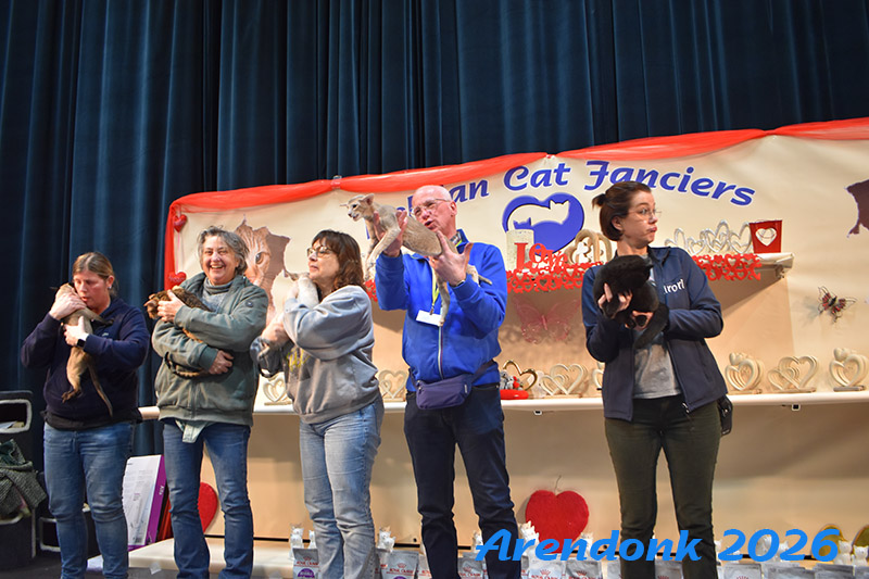 BCF kattenshow
