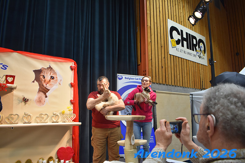 BCF kattenshow