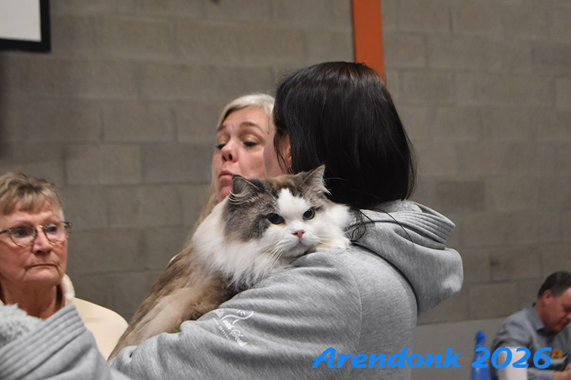 BCF kattenshow