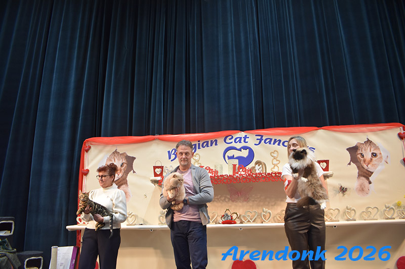 BCF kattenshow
