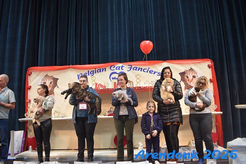 BCF kattenshow