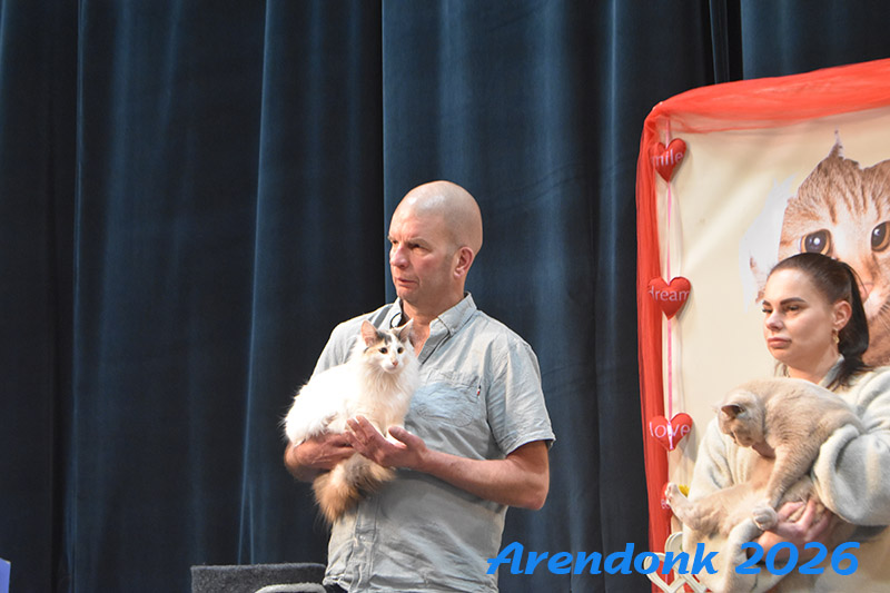 BCF kattenshow
