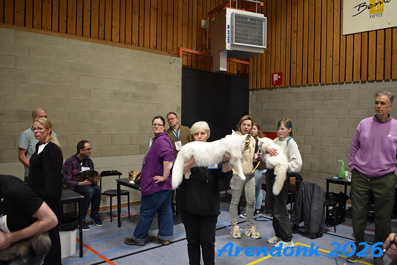 BCF kattenshow