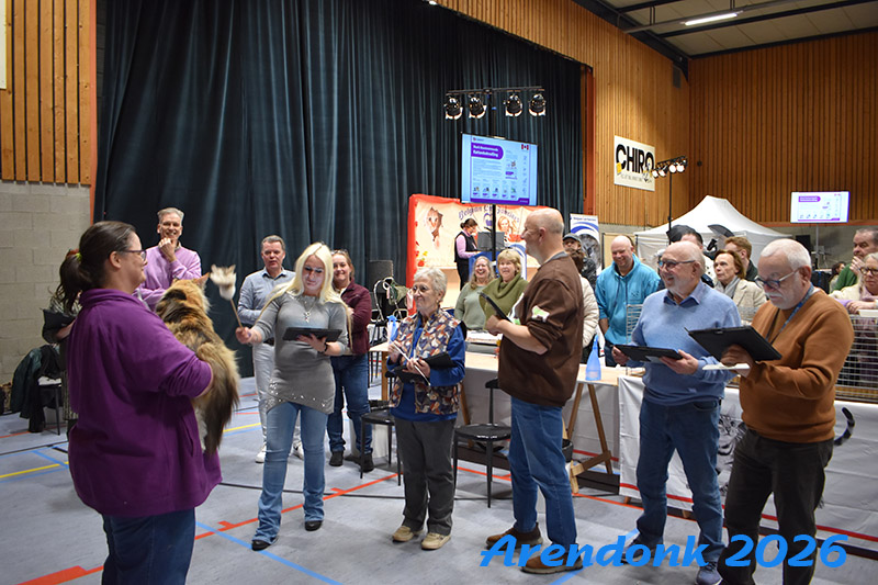 BCF kattenshow