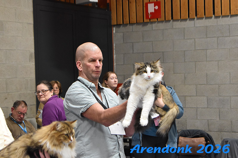 BCF kattenshow