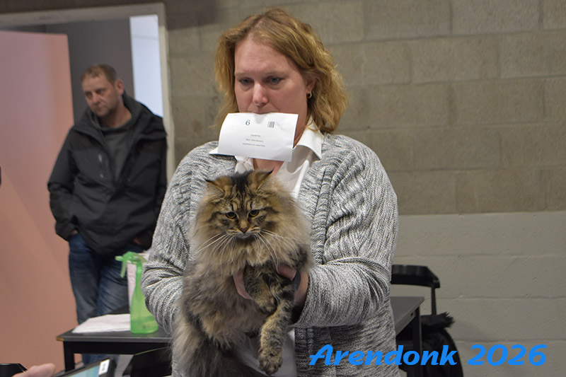 BCF kattenshow