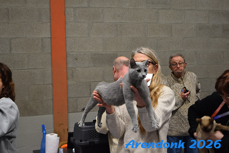 BCF kattenshow