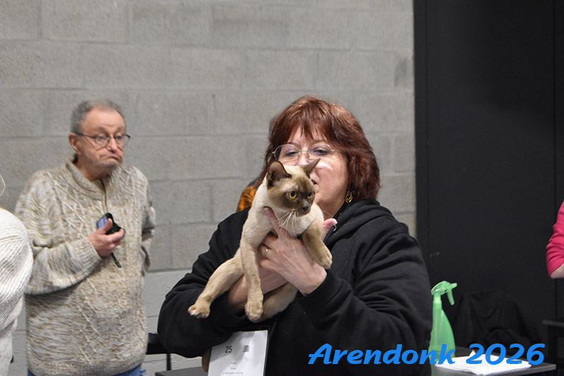 BCF kattenshow