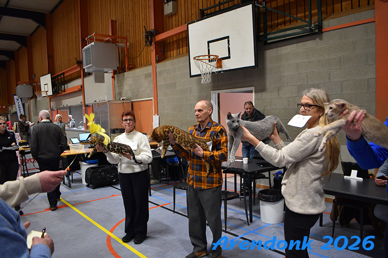 BCF kattenshow