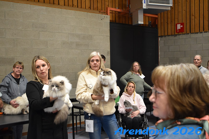 BCF kattenshow