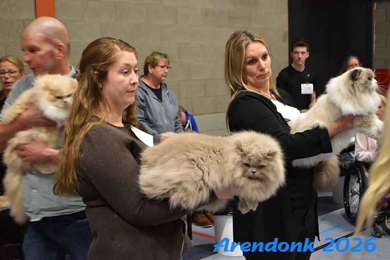BCF kattenshow