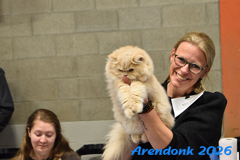 BCF kattenshow