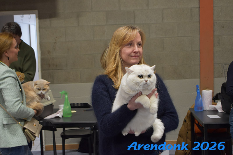 BCF kattenshow