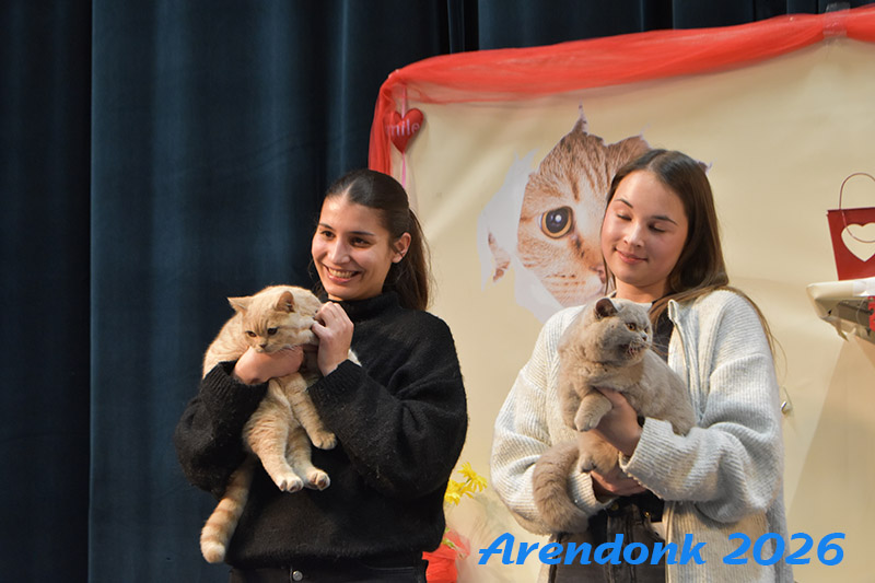 BCF kattenshow