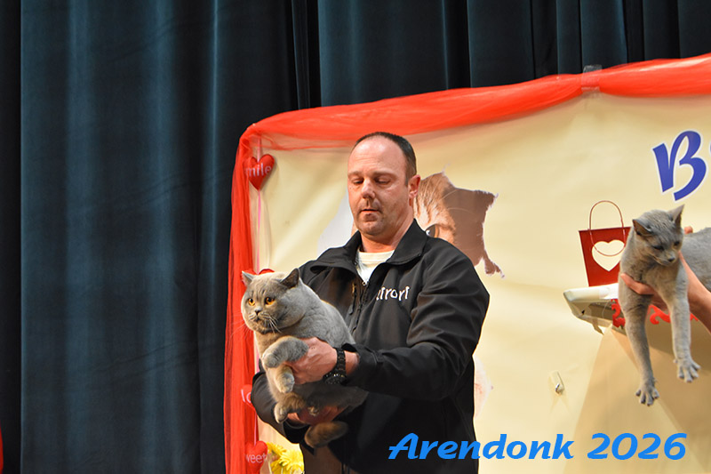 BCF kattenshow