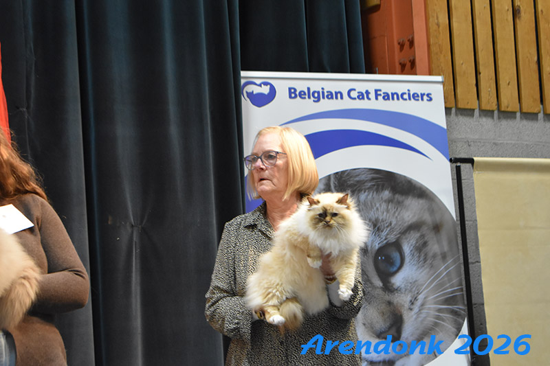 BCF kattenshow