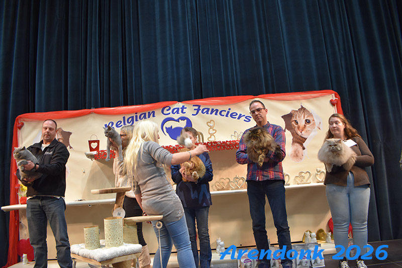 BCF kattenshow