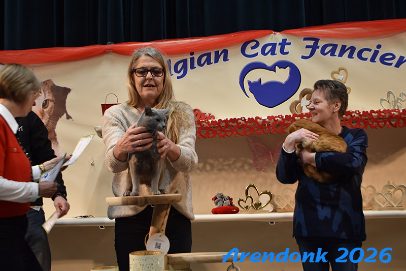 BCF kattenshow