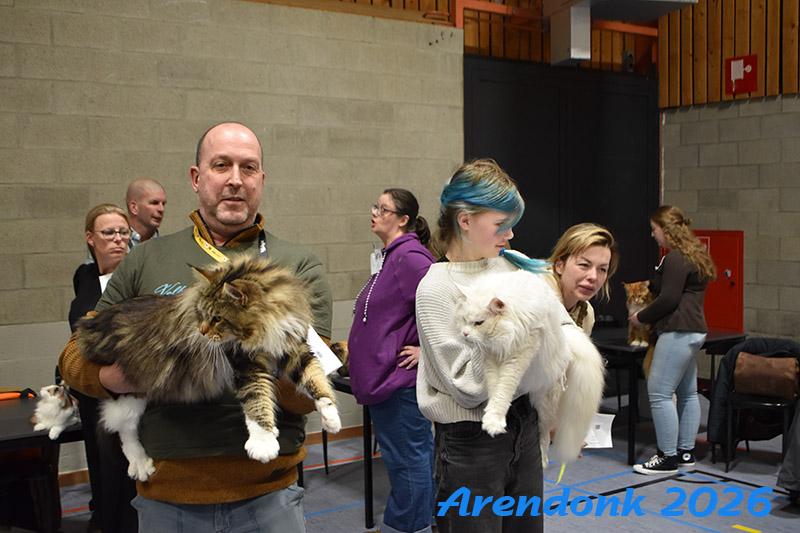 Mooie foto van onze kattenshow, BCF katten vereniging.