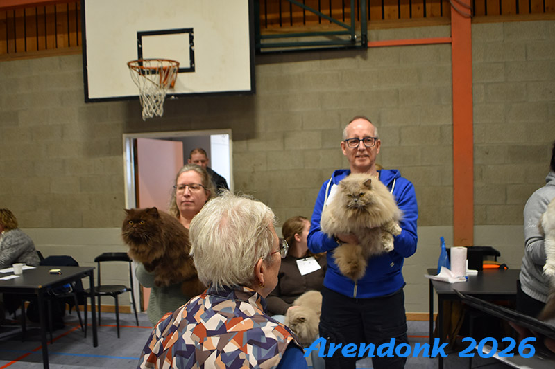 Willekeurige foto van kattenshow van BCF katten vereniging.