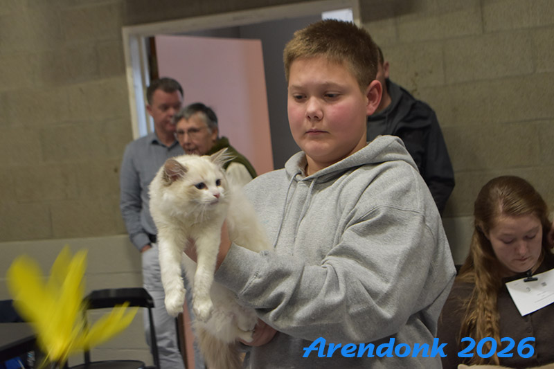 Katten vereniging Belgium Cat Fancierss BCF