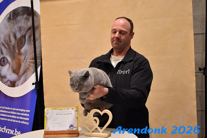Katten vereniging Belgium Cat Fancierss BCF